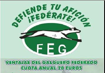 CAMPA�A FEDERATE