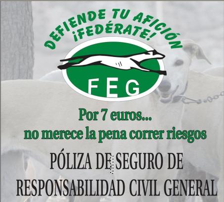CAMPA�A SEGURO