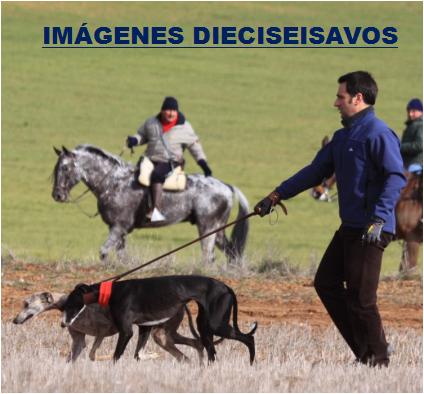IMAGENES DIECISEISAVOS
