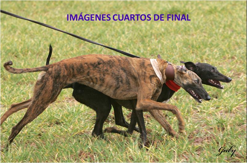 IMAGENES CUARTOS