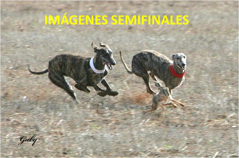 IMAGENES DE SEMIFINALES