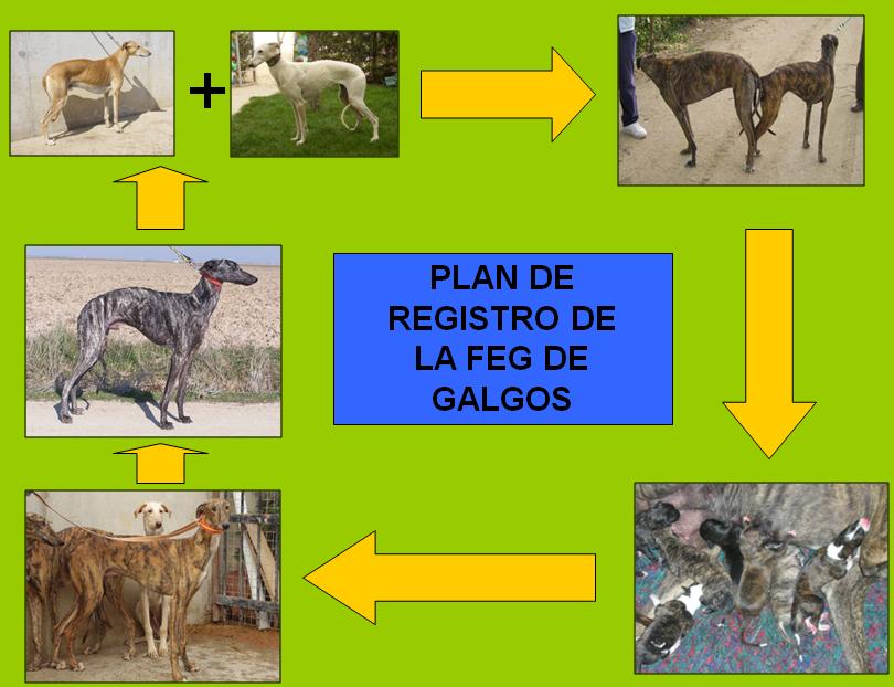 PLAN REFISTRO LIBRO ORIGENES
