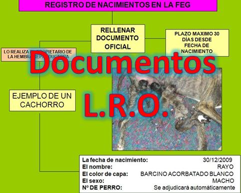 DOCUMENTOS LRO