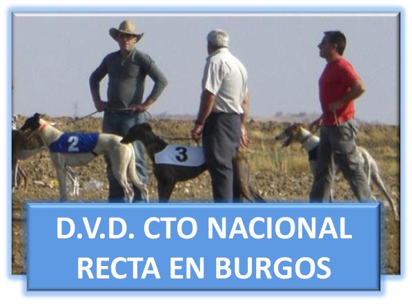 DVD RECTA BURGOS