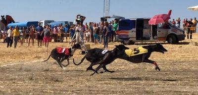 Carter, Bruce y Melendi campeones de España en Liebre Mecánica 2015