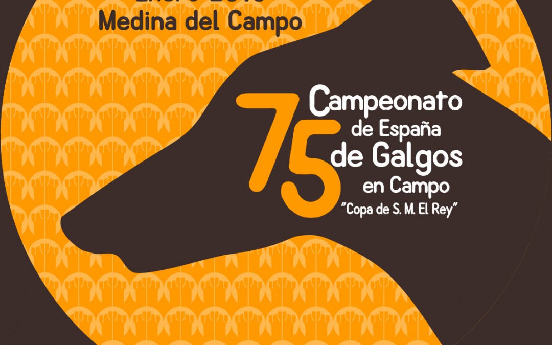 2013 Campeonato de España de Galgos en Campo