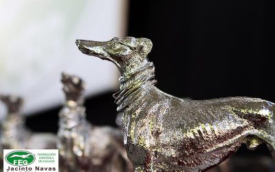 PREMIOS NACIONALES GALGOS ESPAÑA 2019