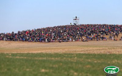 PUBLICIDAD EN LA REVISTA “GALGOS” 2019