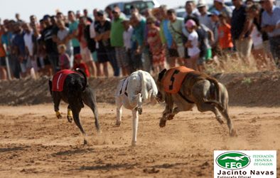 XXXIII CAMPEONATO DE ESPAÑA DE GALGOS EN CAMPO CON LIEBRE MECÁNICA