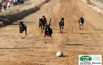 NUEVA DISTANCIA PARA LIEBRE MECÁNICA
