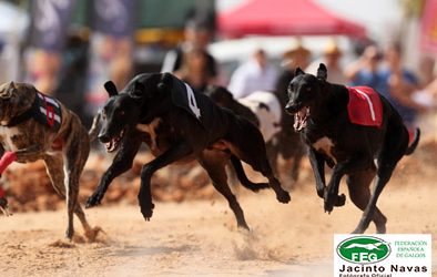 IV CARRERA DE LA LIGA DE LIEBRE MECÁNICA DE LA FEG: LA GINETA