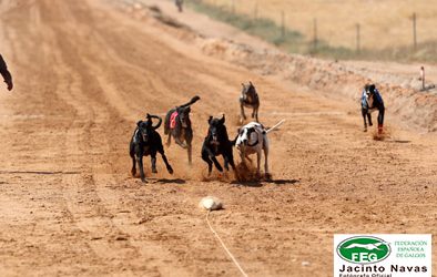 PLAZO PARA PRESENTAR CANDIDATURA A SEDE DEL NACIONAL DE RECTA