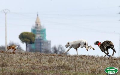 SEGUNDA JORNADA  RELÁMPAGO DE OCTAVOS DE FINAL