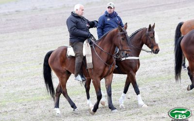 RELACIÓN PROVISIONAL DE SOLICITUDES DE CARGOS TÉCNICOS PARA EL NACIONAL