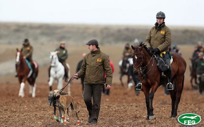 LISTADO DE CARGOS TÉCNICOS ACREDITADOS 2019