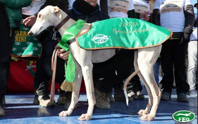 RÁNKING REPRODUCTORAS 2020/21