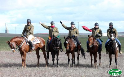 ACREDITACIONES CARGOS TÉCNICOS 2019