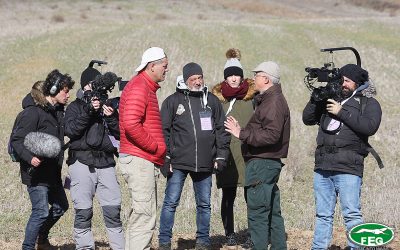LA AFICIÓN GALGUERA, ENGAÑADA Y MALTRATADA POR FRANK CUESTA
