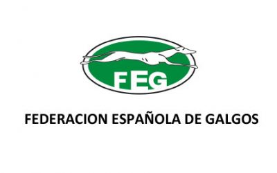 ACLARACION SOBRE LAS CESIONES A LOS EFECTOS DE INSCRIPCION DE GALGOS EN LA LXXXII EDICION DEL CAMPEONATO DE ESPAÑA DE GALGOS EN CAMPO.