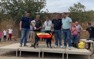 XXXIII CTO DE ESPAÑA DE GALGOS EN CAMPO CON LIEBRE MECÁNICA 1200 m. EL VISO DEL ALCOR