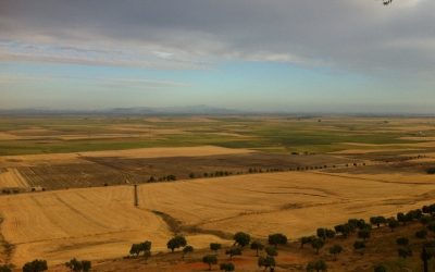 XXXIII CTO DE ESPAÑA DE GALGOS EN CAMPO CON LIEBRE MECÁNICA 1200 M. EL VISO DEL ALCOR