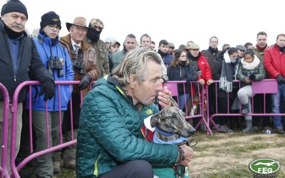 EL PARLAMENTO EUROPEO RECHAZA QUE SE MALTRATEN GALGOS EN ESPAÑA