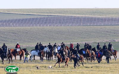 PREVIA DE SEMIFINALES DEL LXXXII CAMPEONATO DE ESPAÑA DE GALGOS EN CAMPO COPA DE S. M. EL REY. MADRIGAL DE LAS ALTAS TORRES 2020.