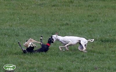 EXTRACTO  DE LO TRATADO EN  JUNTA DIRECTIVA  29/05/2020.