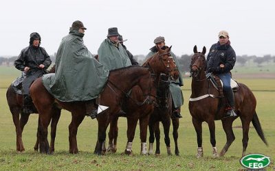 LAS SEMIFINALES SE APLAZAN PARA EL LUNES 1 DE FEBRERO