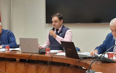 REUNIÓN DE LOS ÓRGANOS DE GOBIERNO DE LA FEG