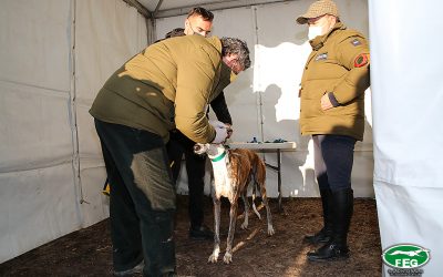 PLAZO DE CONFIRMACIONES  EN EL LRO