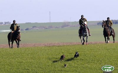 LISTADO PROVISIONAL DE SOLICITUDES DE CARGOS TÉCNICOS PARA EL NACIONAL 2022