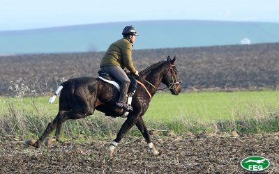 SOLICITUDES DE CARGOS TÉCNICOS PARA FASE FINAL DEL LXXXIV CTO. DE ESPAÑA