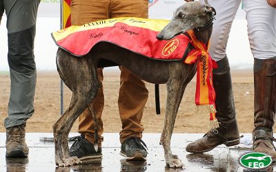 EL 5 DE SEPTIEMBRE FINALIZA EL PLAZO PARA LA INSCRIPCIÓN DE LOS CLUBES