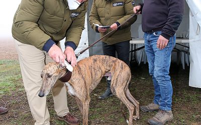 PLAZOS DE CONFIRMACIÓN EN EL LRO