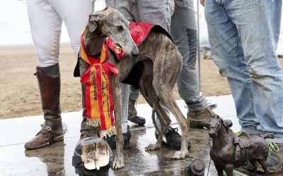EL 15 DE JULIO FINALIZA EL PLAZO PARA LA INSCRIPCIÓN DE CLUBES.