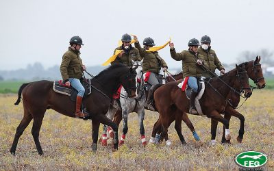 ACREDITACIONES 2021 FEG