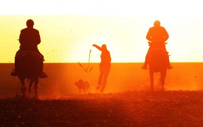 ANDALUCÍA A LA FINAL CON ARENA DEL ROCÍO Y TANGO DE DEBE