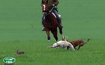 JUNTA DIRECTIVA Y COMISIÓN DELEGADA 15/04/2021