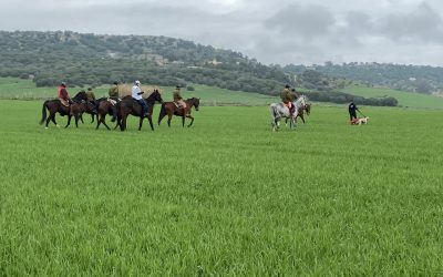 PROGRAMA ESPECIAL DE LA GRAN FINAL