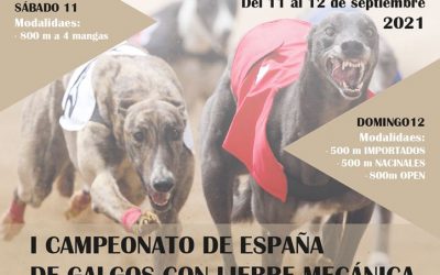 SORTEOS DE LAS DISTINTAS MODALIDADES DE LIEBRE MECÁNICA