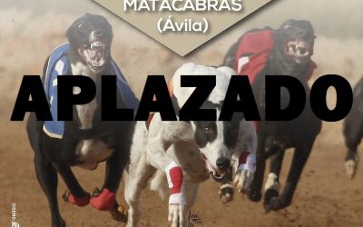 APLAZADO EL CTO. DE ESPAÑA DE LIEBRE MECÁNICA DISTANCIA 1200 M