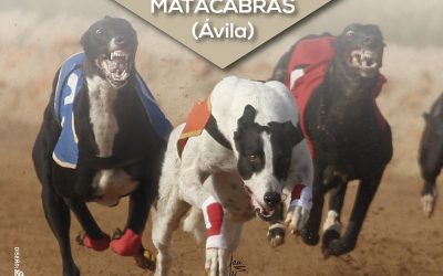 II CAMPEONATO DE ESPAÑA DE LIEBRE MECÁNICA EN LA DISTANCIA DE 1.200 M.