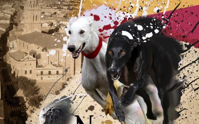 PROGRAMA DE MANO DEL LXXXIV CAMPEONATO DE ESPAÑA DE GALGOS EN CAMPO.