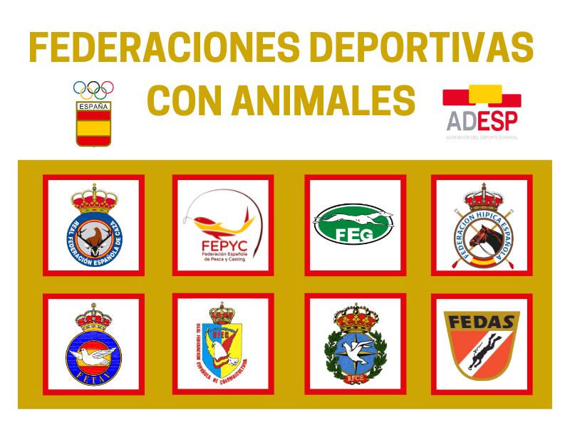 El COE y ADESP respaldan las reivindicaciones del deporte ante la Ley de Protección y Derechos de los Animales