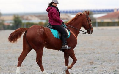 EL COE CONCEDE A Dª YOLANDA TROM RUEDA LA INSIGNIA OLÍMPICA