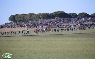 PRIMERA JORNADA DE CUARTOS DE FINAL DEL LXXXIV CAMPEONATO DE ESPAÑA DE GALGOS EN CAMPO COPA S.M EL REY