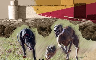 CARTEL DE OCTAVOS DE FINAL DEL LXXXIV CTO DE ESPAÑA DE GALGOS EN CAMPO. BARCIENCE