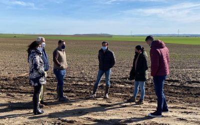 NUEVAS FECHAS LXXXIV CAMPEONATO DE ESPAÑA DE GALGOS EN CAMPO