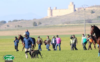 LA LXXXV EDICIÓN DEL CTO DE ESPAÑA DE GALGOS EN CAMPO SE CELEBRARÁ EN BARCIENCE
